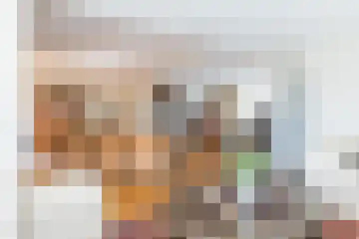 Rijksweg 29 Linne thumbnail 18