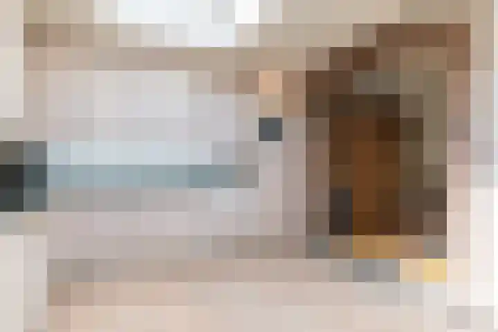 Rijksweg 29 Linne thumbnail 24