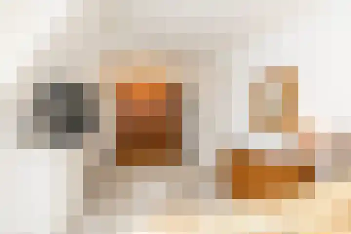 Rijksweg 29 Linne thumbnail 35