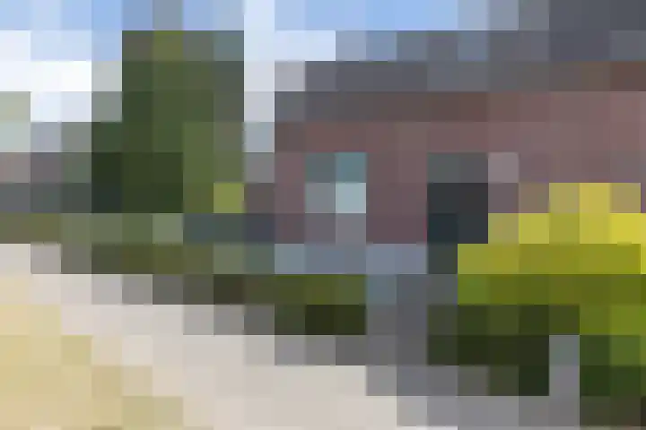 Rijksweg 29 Linne thumbnail 4