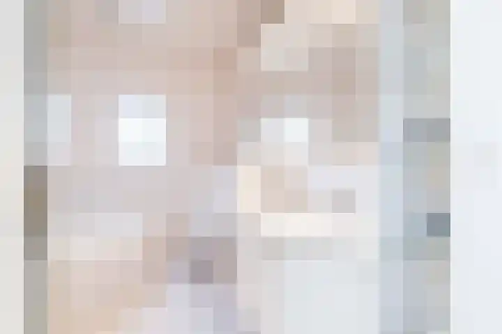 Rijksweg 29 Linne thumbnail 40