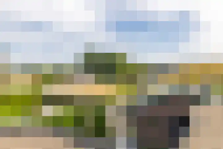 Rijksweg 29 Linne thumbnail 43