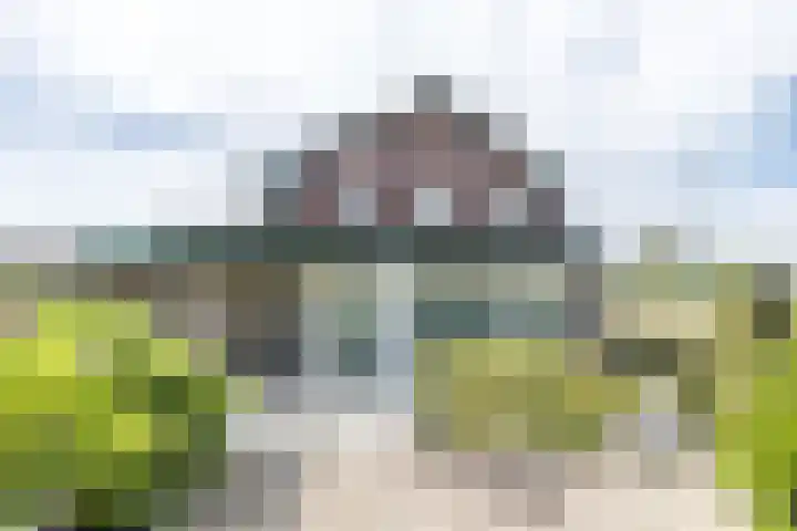 Rijksweg 29 Linne thumbnail 46