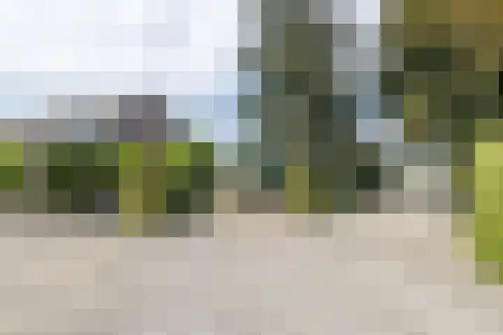 Rijksweg 29 Linne thumbnail 49