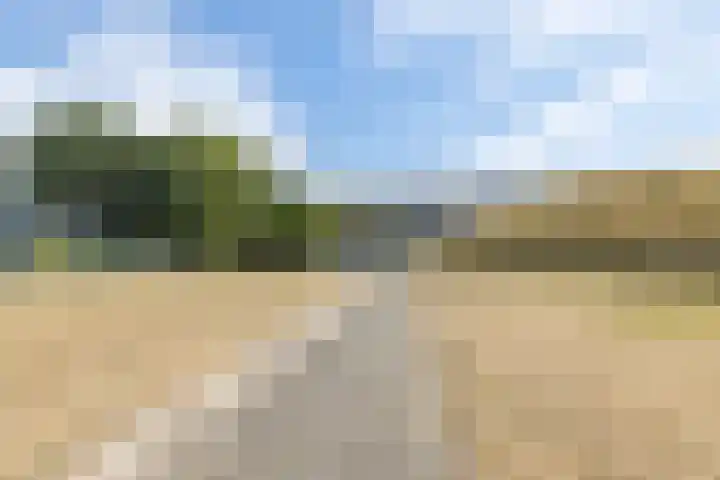 Rijksweg 29 Linne thumbnail 52