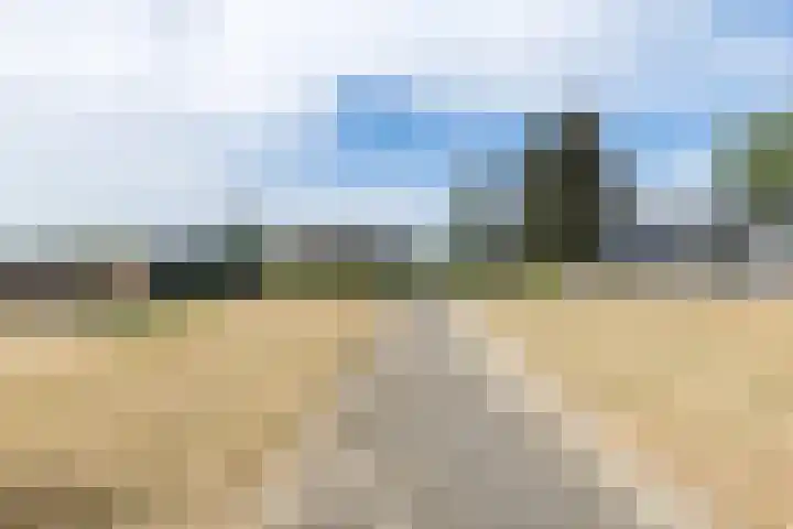 Rijksweg 29 Linne thumbnail 53