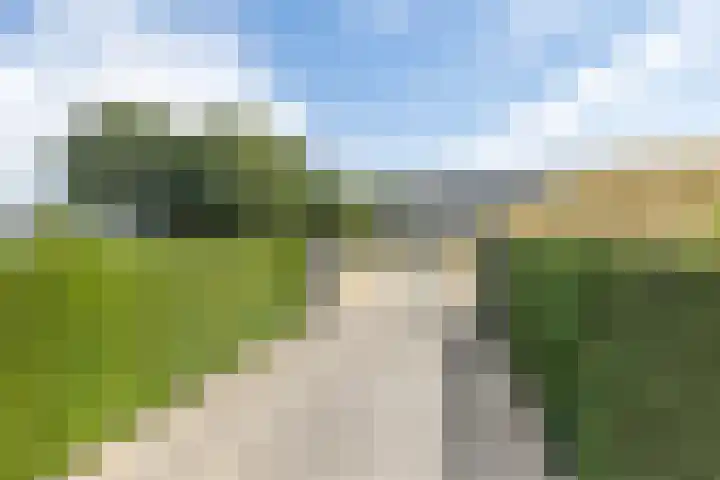 Rijksweg 29 Linne thumbnail 54