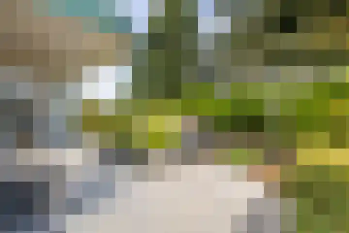 Rijksweg 29 Linne thumbnail 56