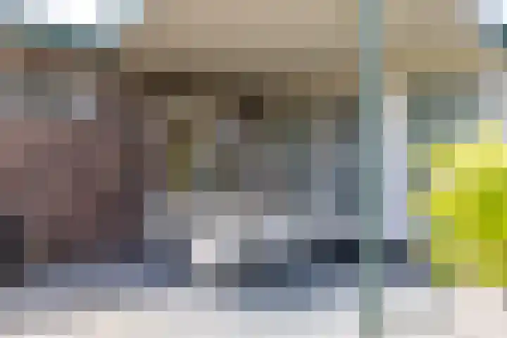 Rijksweg 29 Linne thumbnail 57