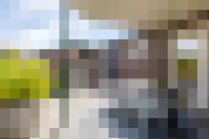 Rijksweg 29 Linne thumbnail 58