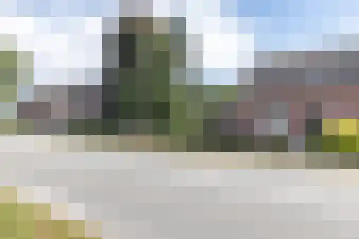 Rijksweg 29 Linne thumbnail 6