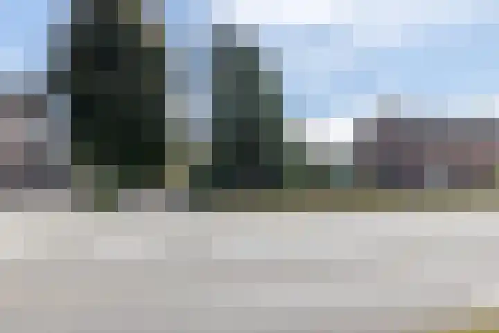 Rijksweg 29 Linne thumbnail 7