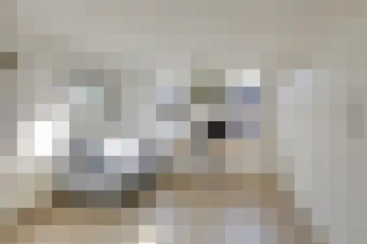 Rijksweg 31 Malden thumbnail 12