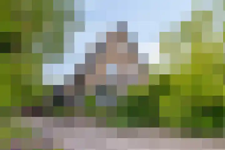Rijksweg 51 Empe