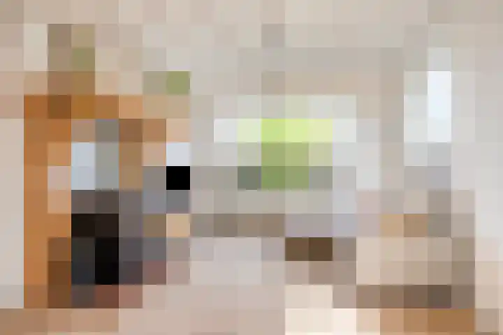 Rijksweg 51 Empe thumbnail 10