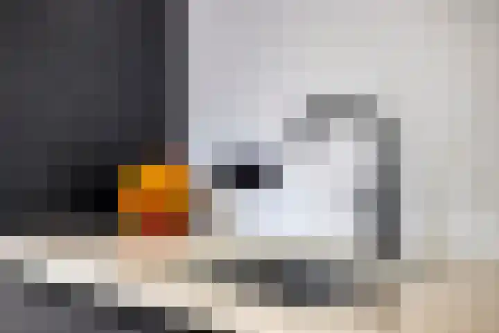 Rijksweg 51 Empe thumbnail 16