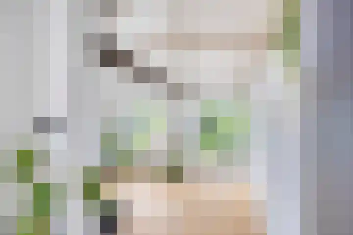 Rijksweg 51 Empe thumbnail 17