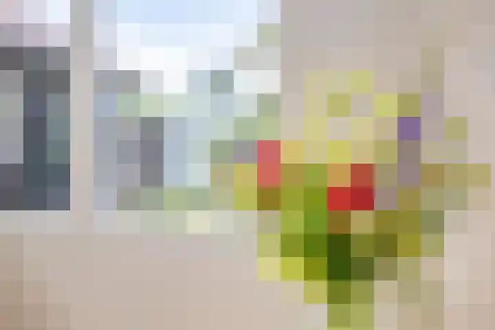 Rijksweg 51 Empe thumbnail 18