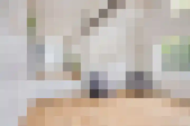 Rijksweg 51 Empe thumbnail 19