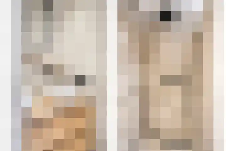 Rijksweg 51 Empe thumbnail 22