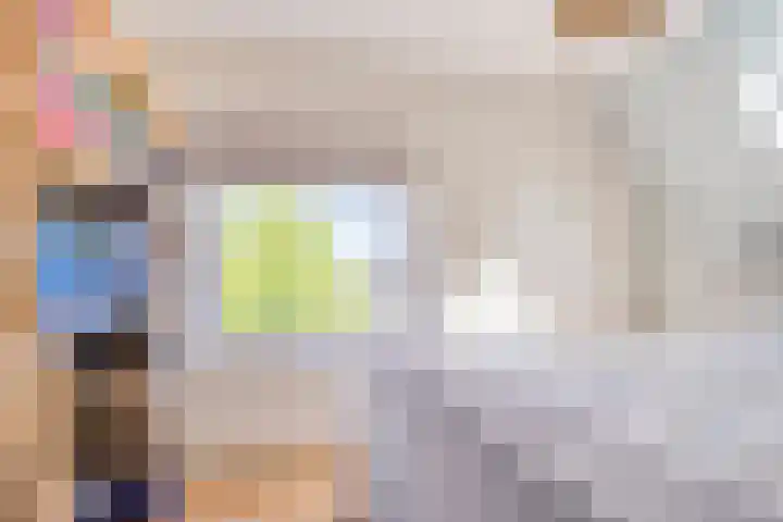Rijksweg 51 Empe thumbnail 24