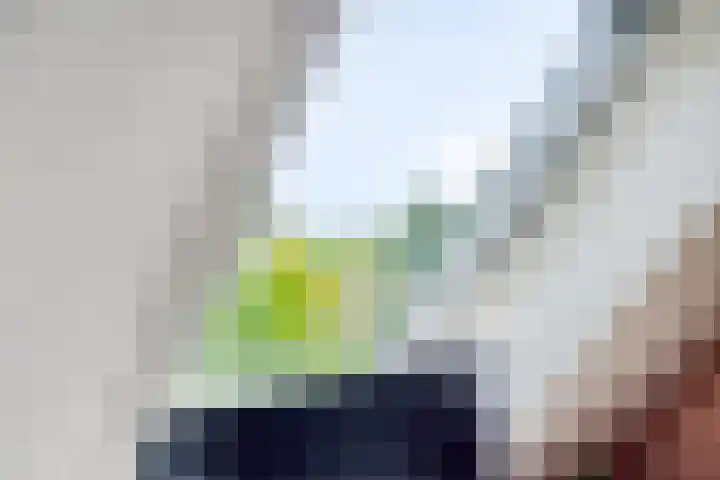 Rijksweg 51 Empe thumbnail 33