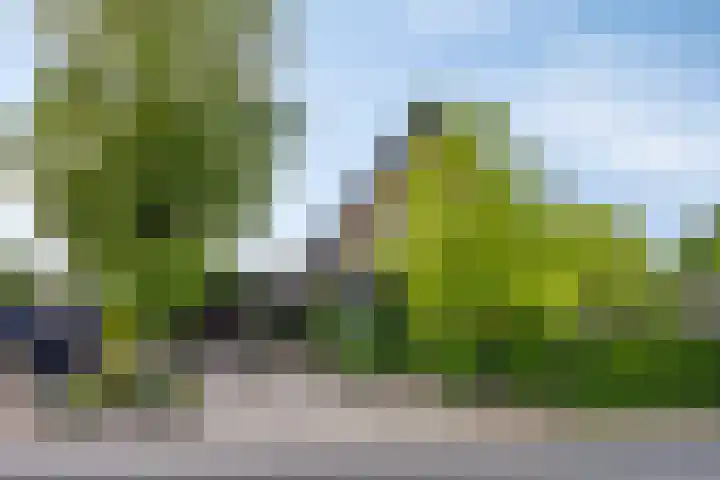 Rijksweg 51 Empe thumbnail 38