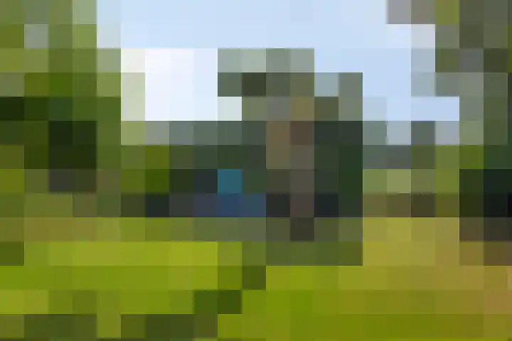 Rijksweg 51 Empe thumbnail 39