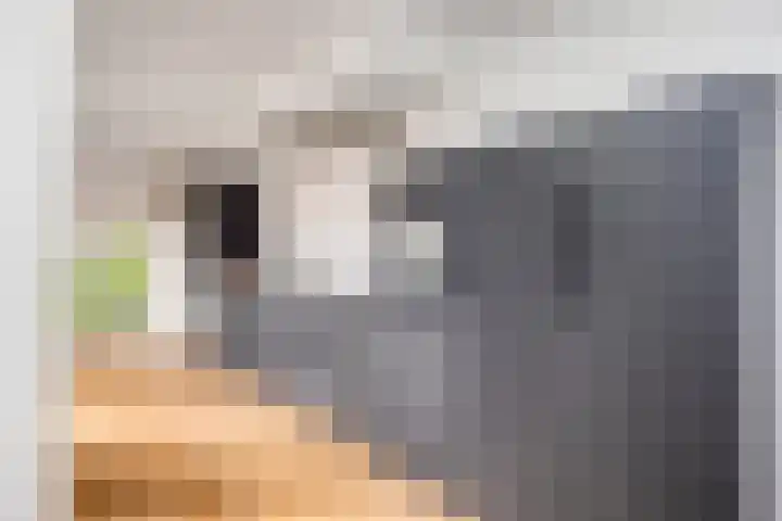 Rijksweg 51 Empe thumbnail 4