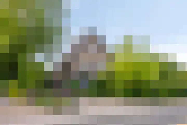 Rijksweg 51 Empe thumbnail 40