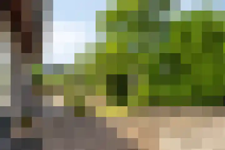 Rijksweg 51 Empe thumbnail 41