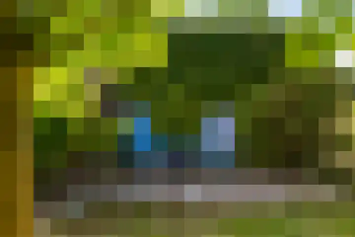 Rijksweg 51 Empe thumbnail 43