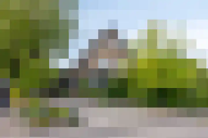 Rijksweg 51 Empe thumbnail 47