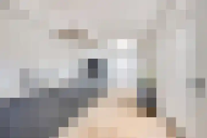 Rijksweg 51 Empe thumbnail 5