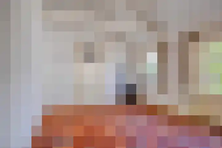 Rijksweg 51 Empe thumbnail 50