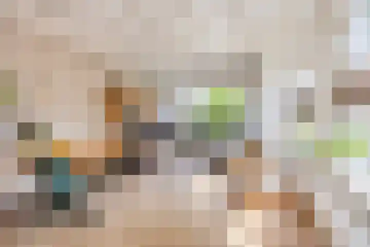Rijksweg 51 Empe thumbnail 6