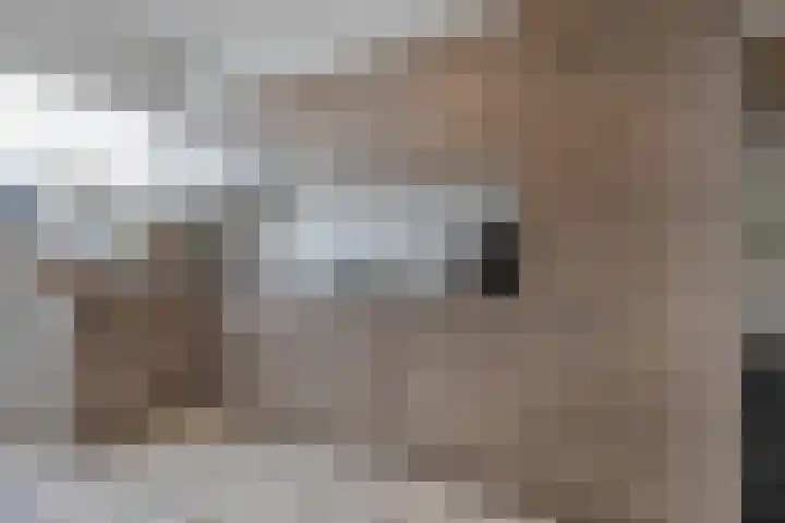 Rijksweg 67 Dorst thumbnail 12