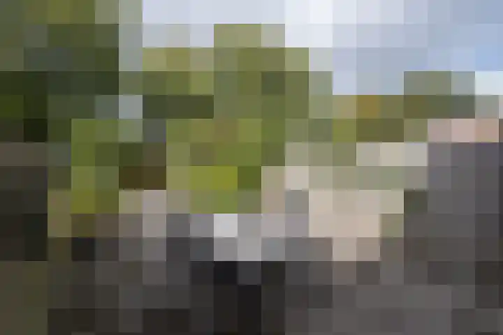 Rijn 9 Heerhugowaard thumbnail 30