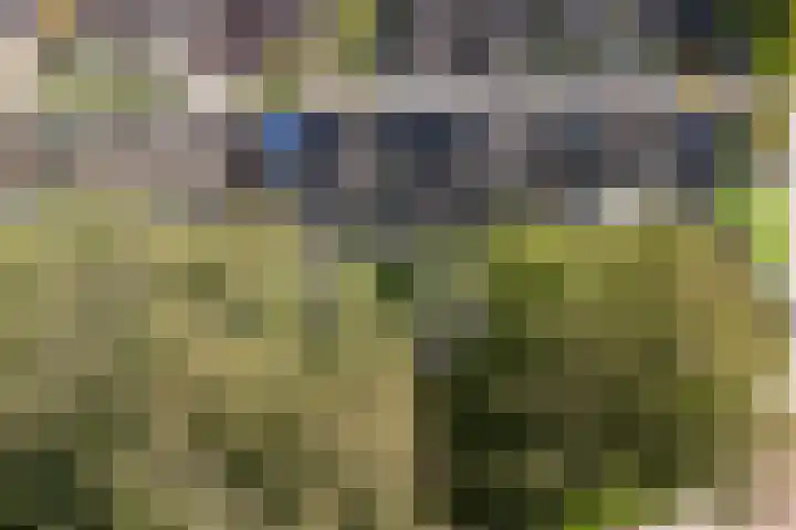 Rijn 9 Heerhugowaard thumbnail 31