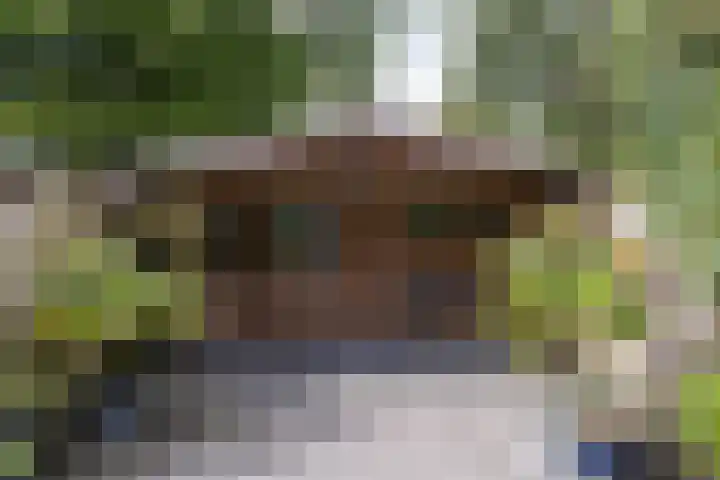Rijn 9 Heerhugowaard thumbnail 32