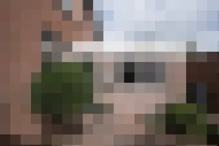 Rijn 9 Heerhugowaard thumbnail 34