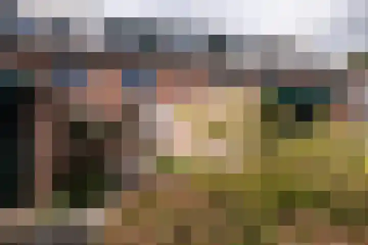 Rijn 9 Heerhugowaard thumbnail 35
