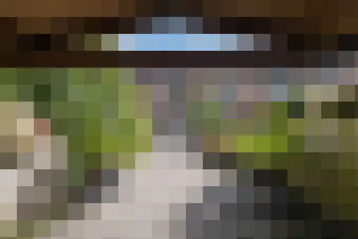 Rijn 9 Heerhugowaard thumbnail 5