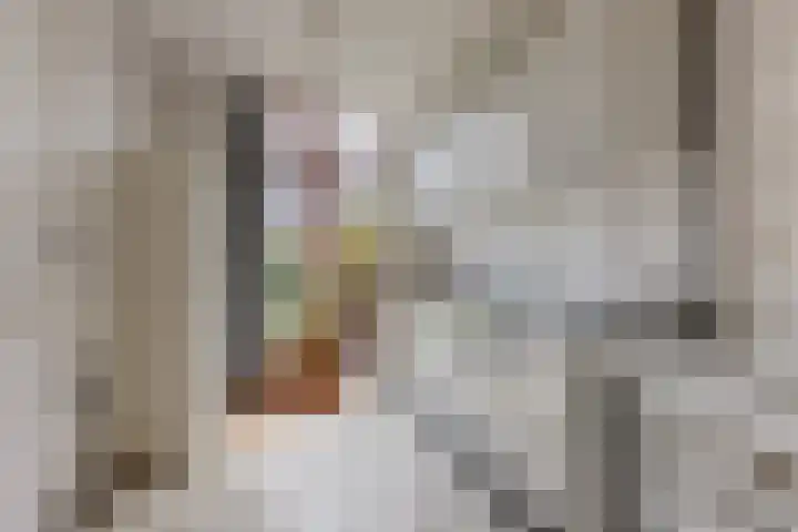Rijnenburg 3 Leiderdorp thumbnail 12