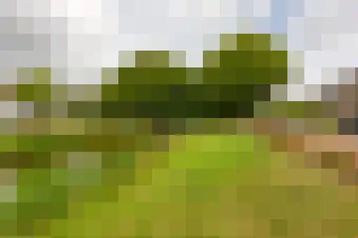 Rijnenburg 3 Leiderdorp thumbnail 35