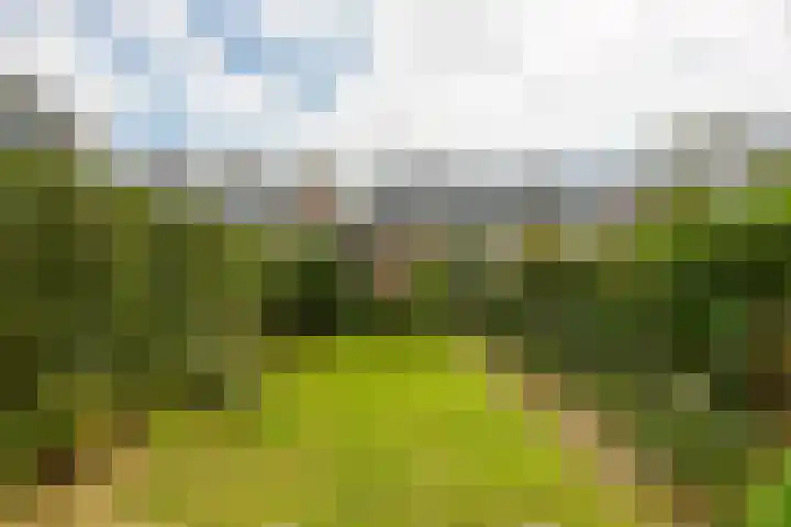 Rijnenburg 3 Leiderdorp thumbnail 8