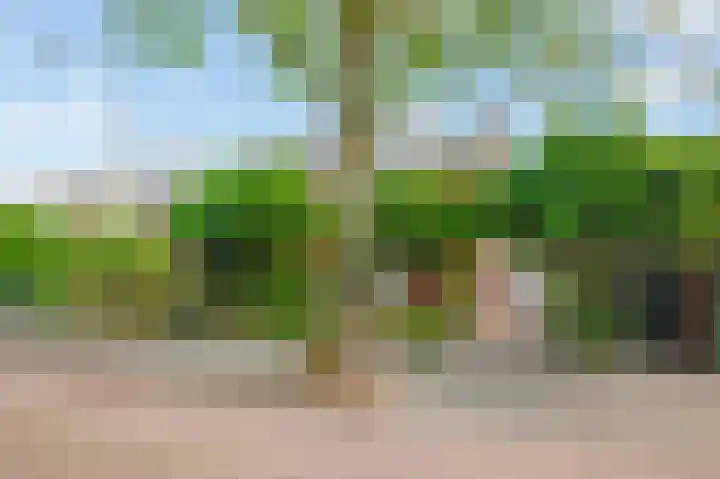 Rijnier Pauwlaan 2 dans Amstelveen