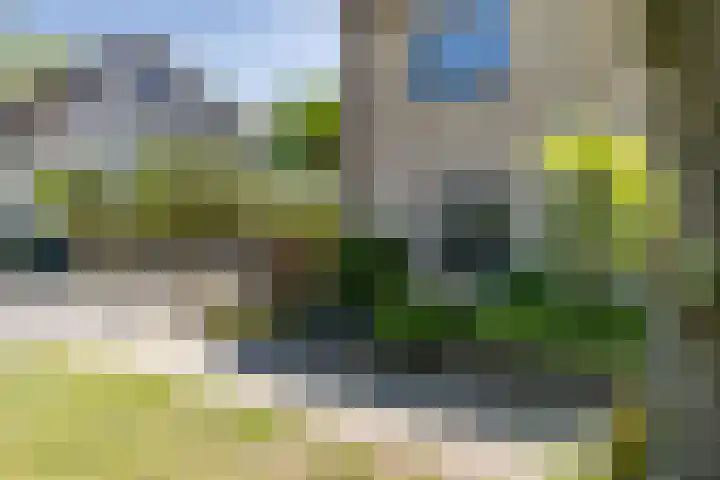 Rijnstraat 5 Enschede thumbnail 34