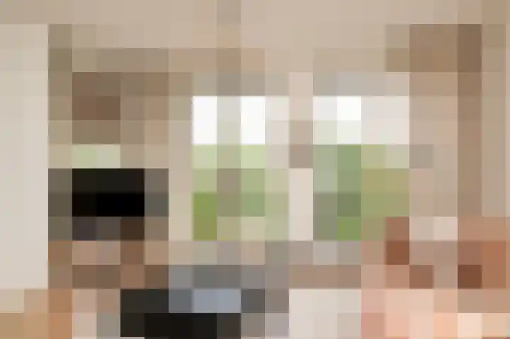 Rijnstraat 8 d Ingen thumbnail 12