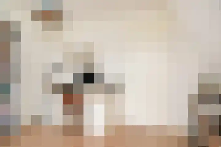 Rijnstraat 8 d Ingen thumbnail 24